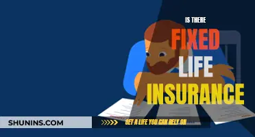 Life Insurance: Is There a Fixed Option?