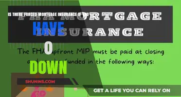 Mortgage Insurance: Zero Down, Forced Coverage?