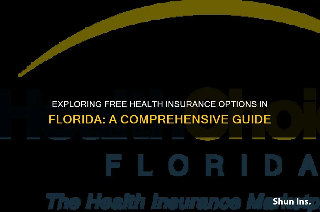 is there free health insurance in florida