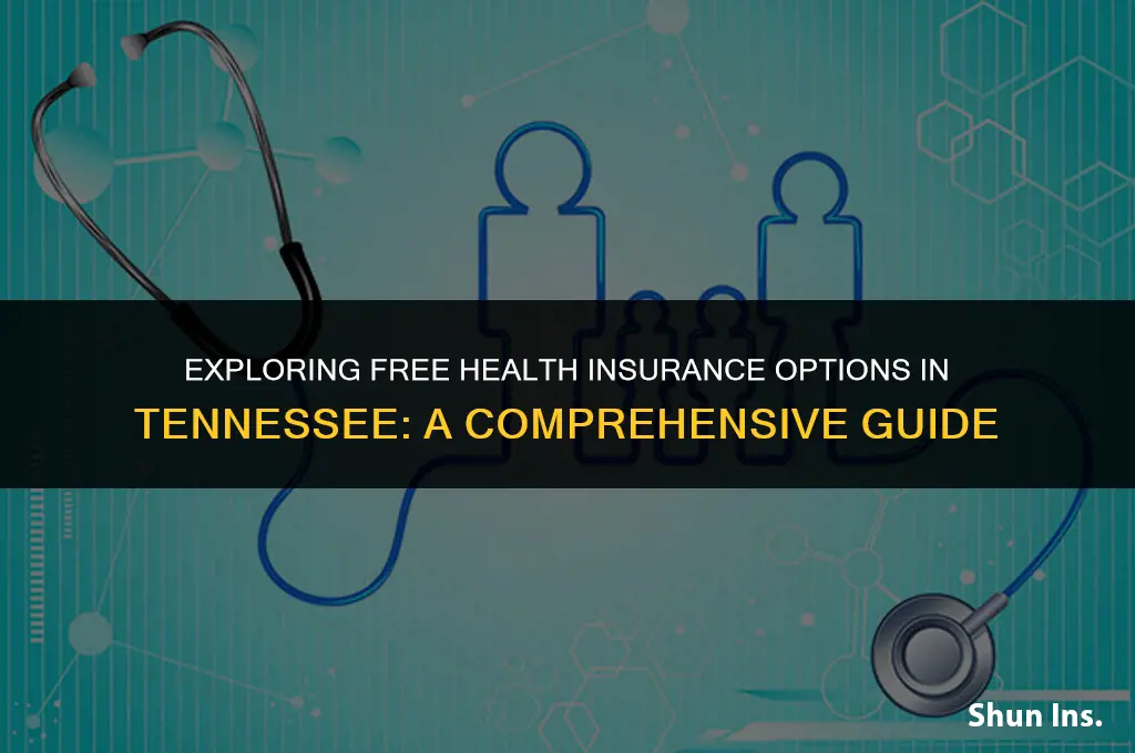 is there free health insurance in tennessee