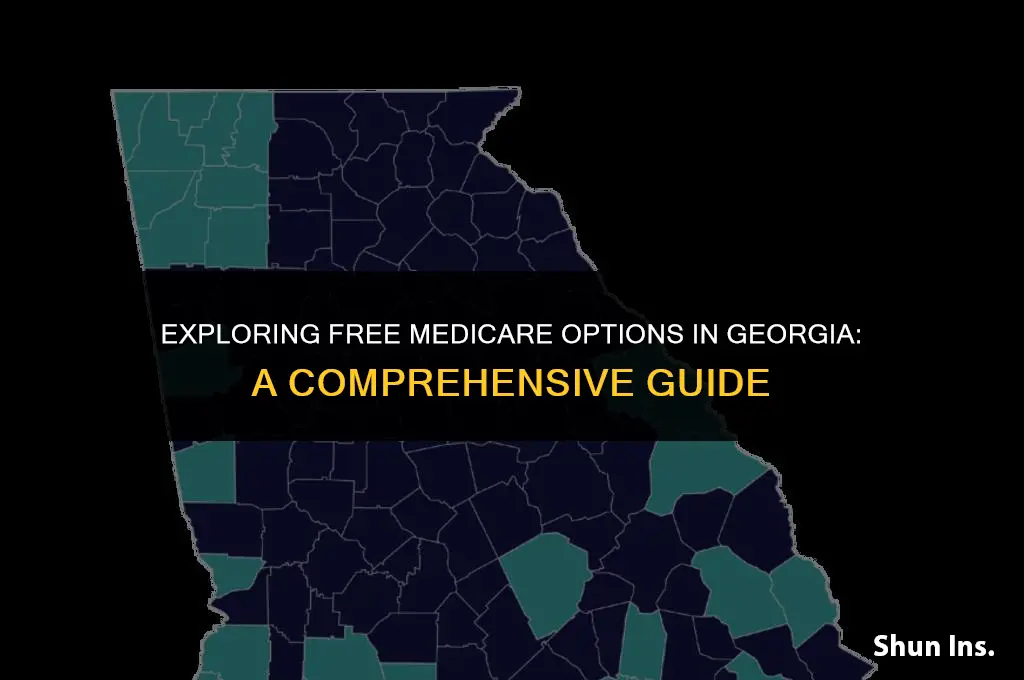 is there free medicare health insurance for people in georgia