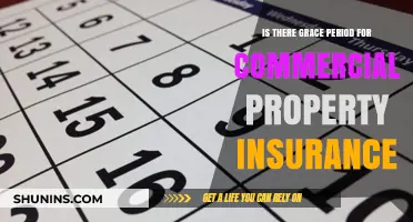 Commercial Property Insurance: Understanding Grace Periods