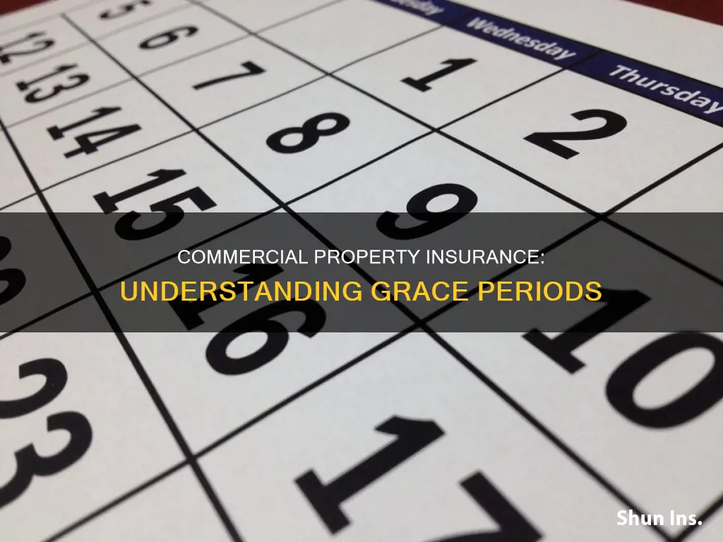 is there grace period for commercial property insurance
