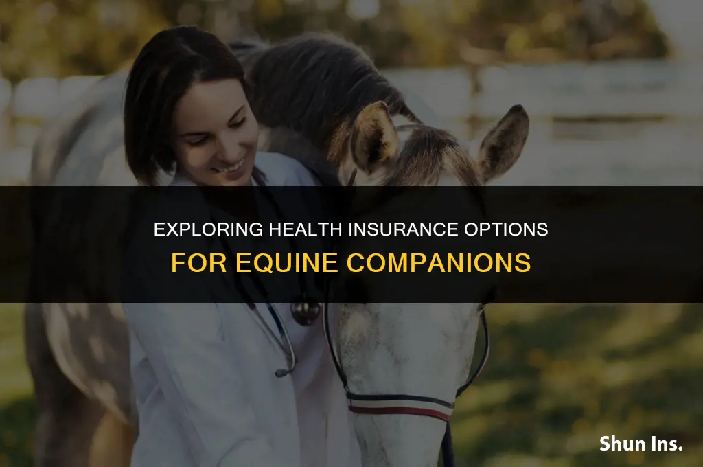 is there health insurance for horses