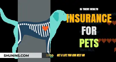 Pet Health Insurance: Essential Coverage for Your Furry Family Members