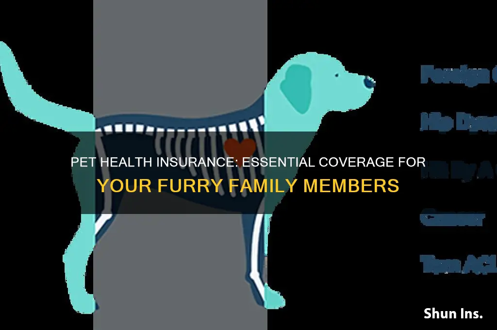 is there health insurance for pets