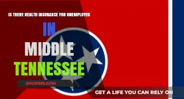 Navigating Health Insurance Options for the Unemployed in Middle Tennessee