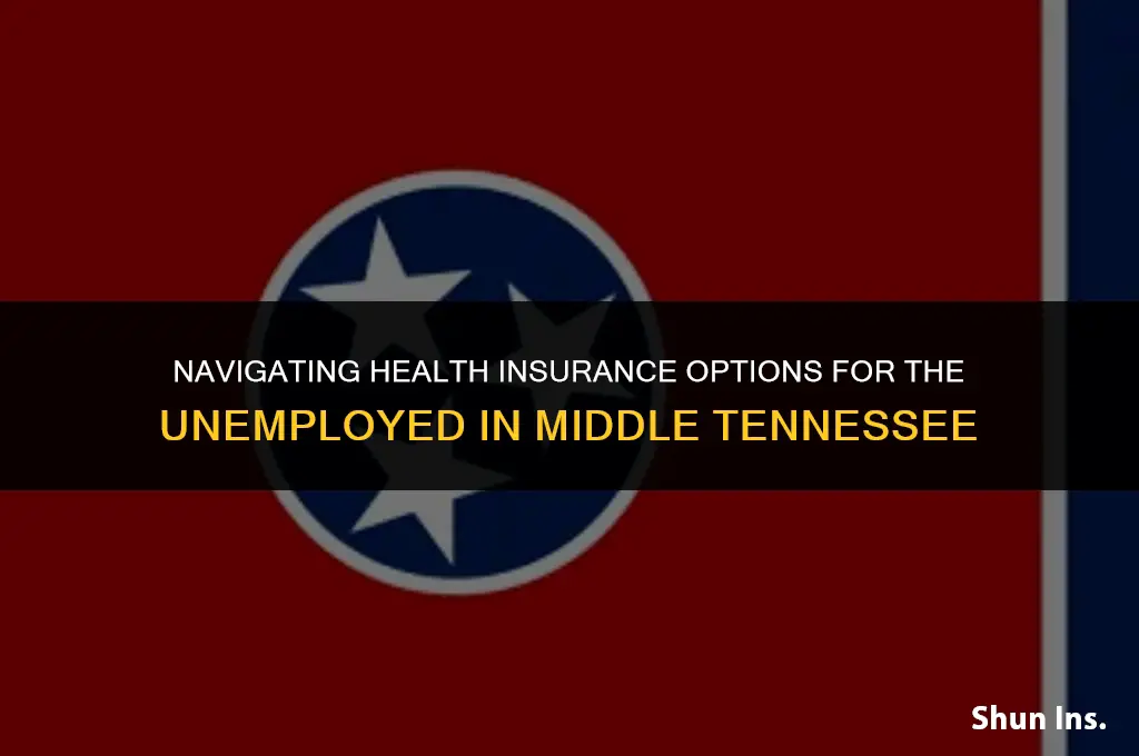 is there health insurance for unemployed in middle tennessee