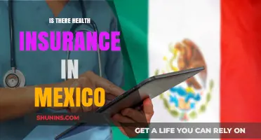 Exploring Health Insurance Options in Mexico: A Comprehensive Guide