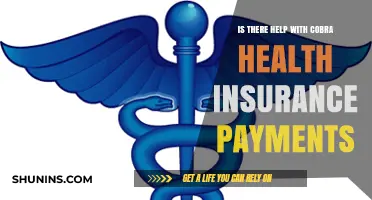 Navigating Cobra Health Insurance Payments: Assistance and Options Available