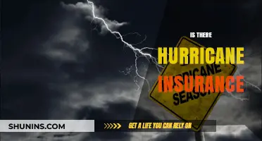 Hurricane Insurance: What It Covers, Costs, and How to Get Protected