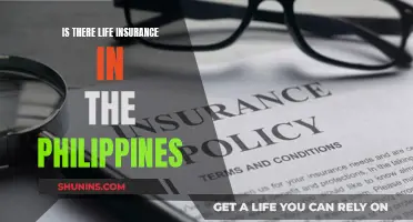 Life Insurance in the Philippines: What You Need to Know