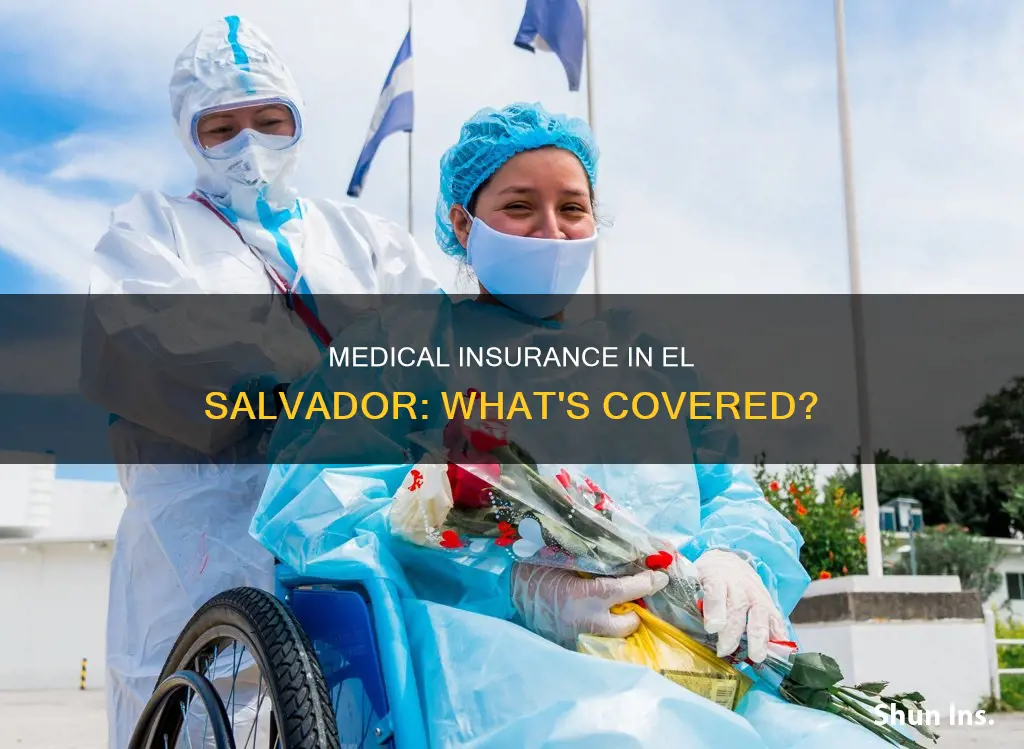 is there medical insurance in el salvador