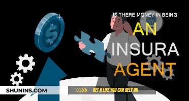 Lucrative Insurance Agent: Is It a Profitable Career Choice?