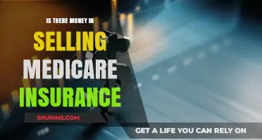 Lucrative Medicare Insurance Sales: Is It Possible?