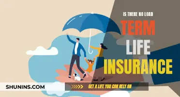 Life Insurance: No-Load Term Policies Explained