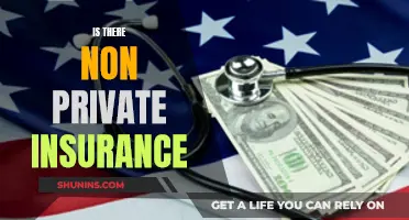 Non-Private Insurance: Is It an Option for You?