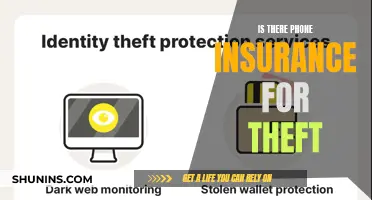 Protect Your Phone: Theft Insurance Explained