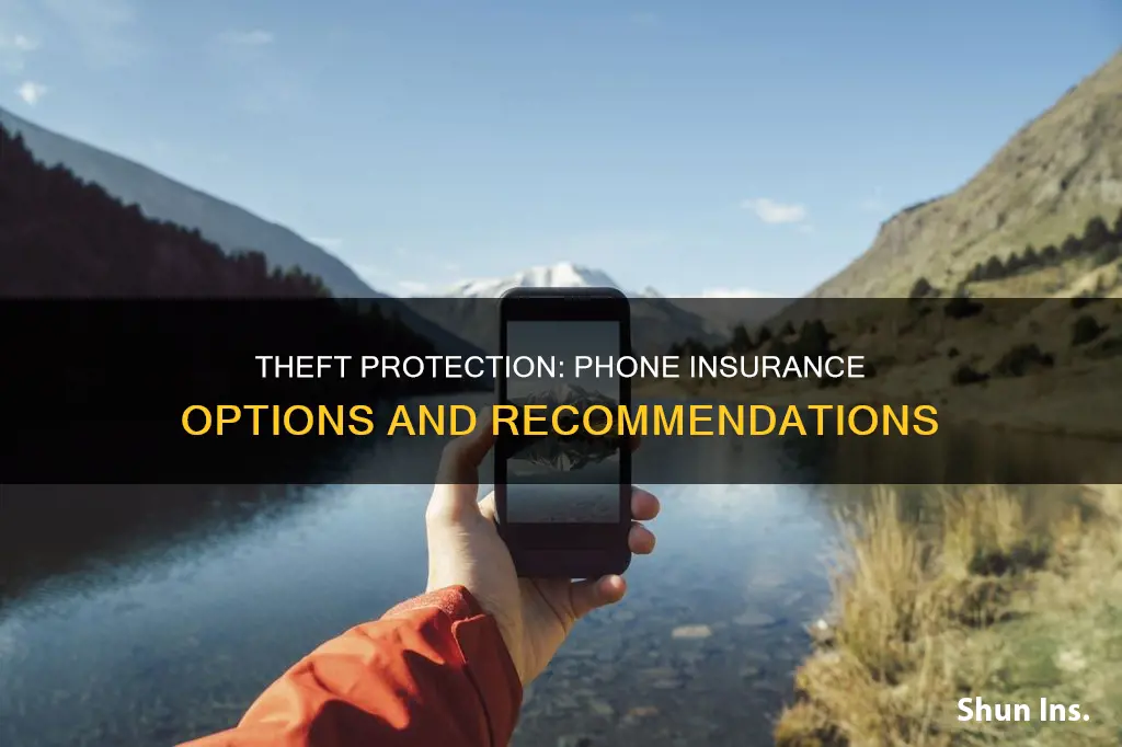 is there phone insurance for theft