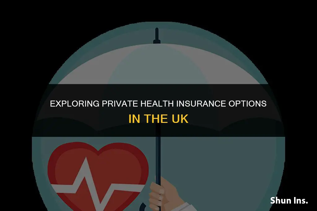 is there private health insurance available in theuk
