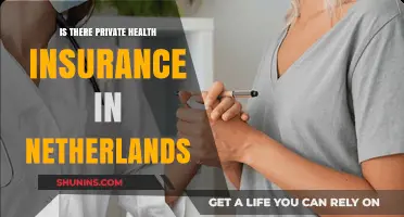 Exploring Private Health Insurance Options in the Netherlands