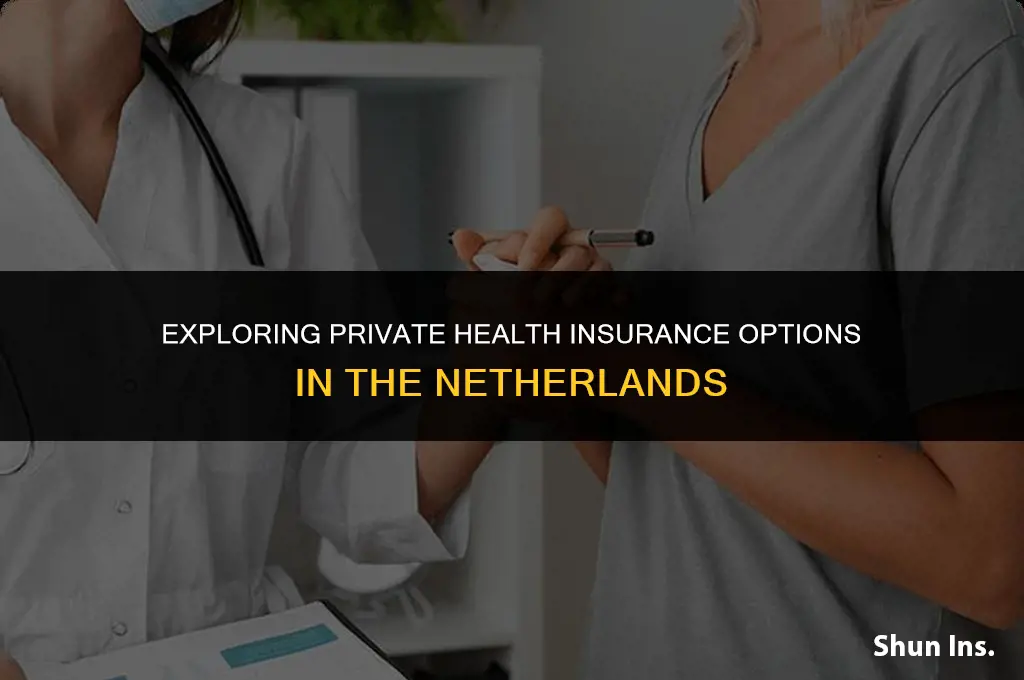 is there private health insurance in netherlands
