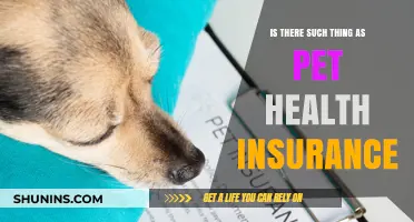 Exploring Pet Health Insurance: Fact or Fiction?