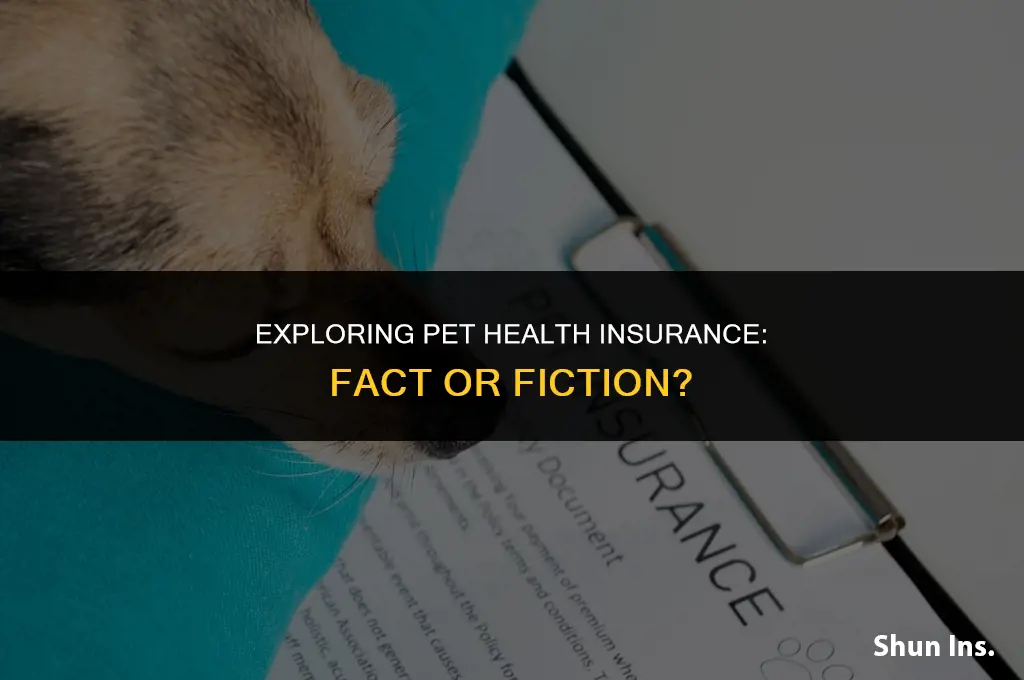 is there such thing as pet health insurance