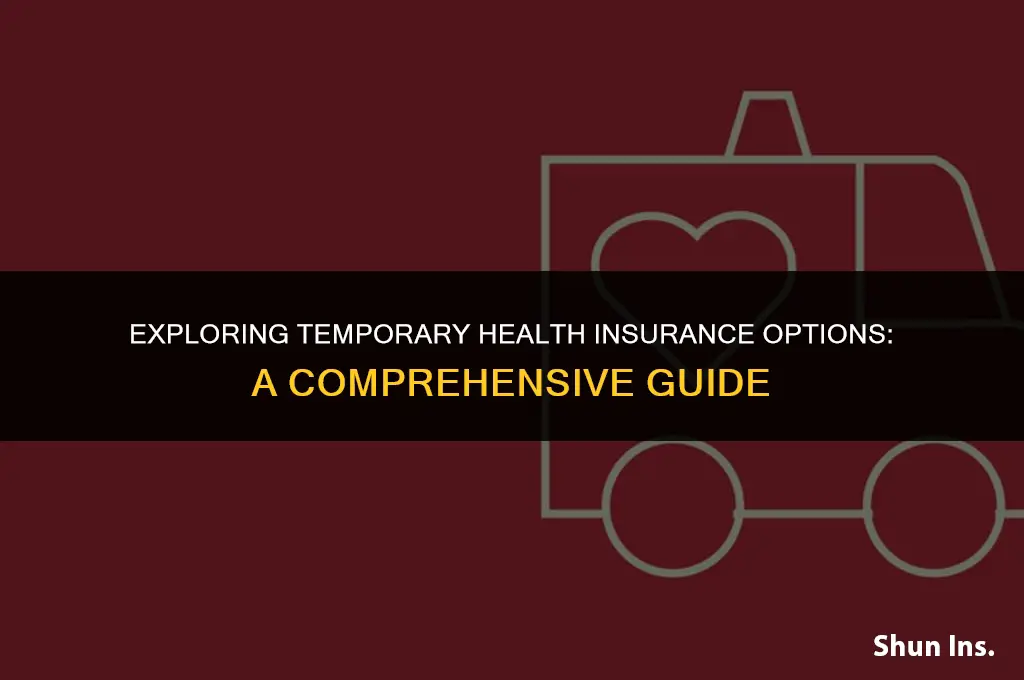 is there temporary health insurance