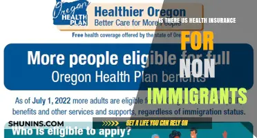 Exploring Health Insurance Options for Non-Immigrants in the US
