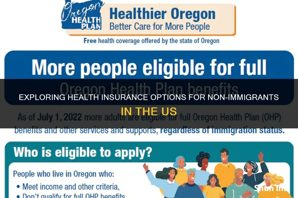 is there us health insurance for non immigrants