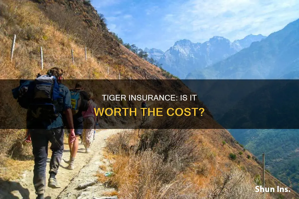 is tiger insurance worth it