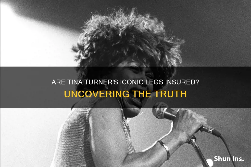 is tina turner legs insured