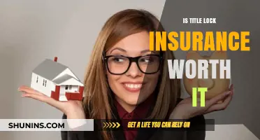 Title Lock Insurance: Worth the Cost?
