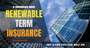 Understanding Transamerica's Annual Renewable Term Life Insurance: Flexibility and Protection