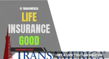 Transamerica Life Insurance: Is It a Good Option?