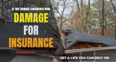 Wind Damage: Tree Insurance Claims