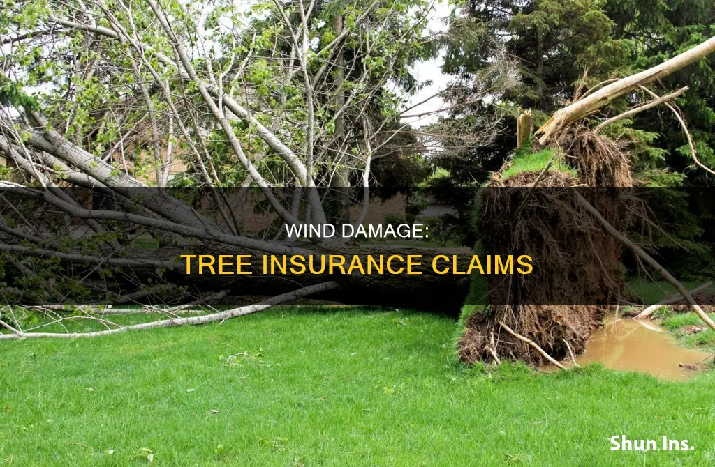 is tree damage considered wind damage for insurance