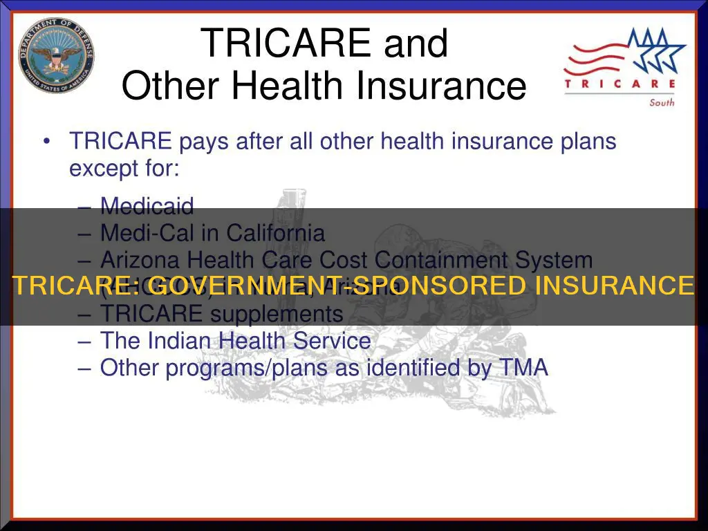 is tricare considered government insurance