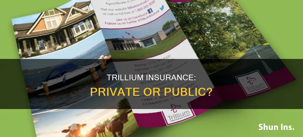 is trillium insurance private