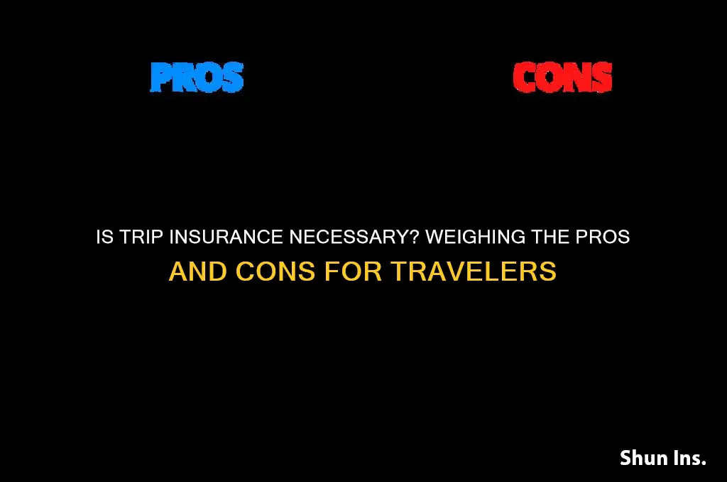 is trip insurance necessary