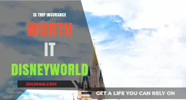Trip Insurance for Disney: Is It Worth the Cost?