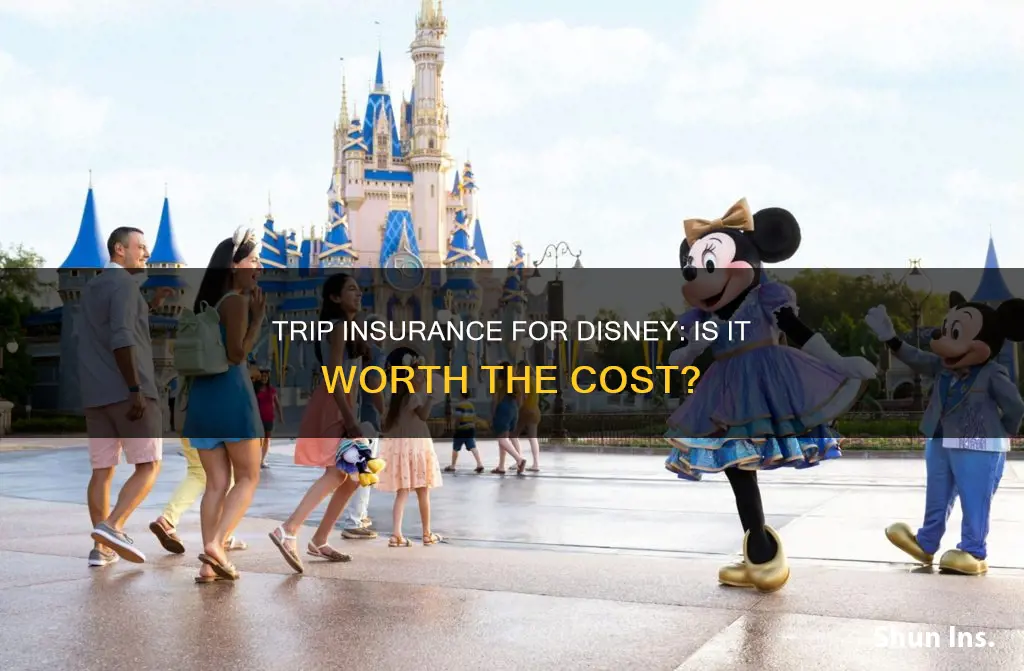is trip insurance worth it disneyworld