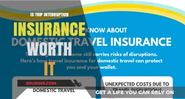 Trip Interruption Insurance: Is Peace of Mind Worth the Cost?