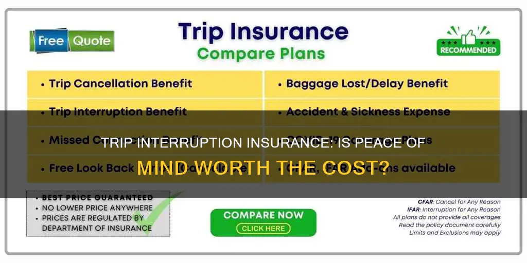 is trip interruption insurance worth it