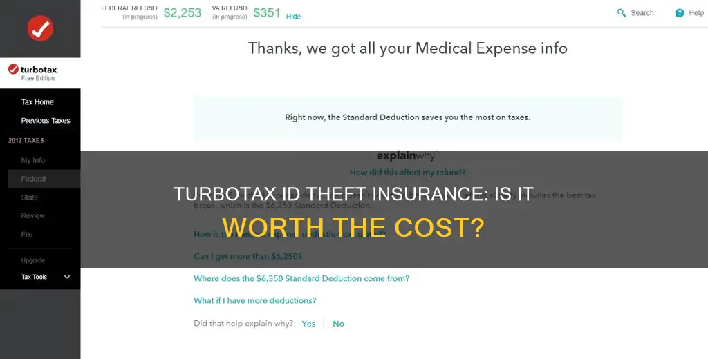 is turbo tax id thedt insurance worth it