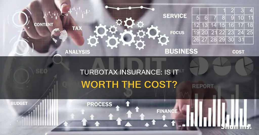 is turbotax insurance worth it