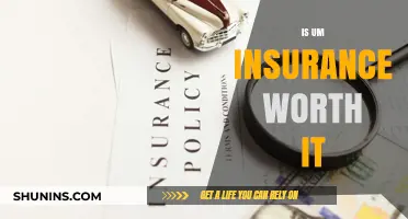 UM Insurance: Is the Extra Coverage Worthwhile?