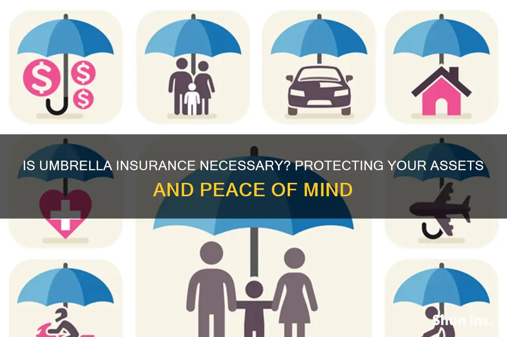 is umbrella insurance necessary