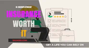 Unemployment Insurance: A Safety Net Worth the Cost?